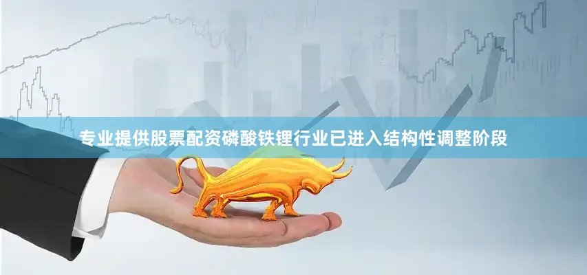专业提供股票配资磷酸铁锂行业已进入结构性调整阶段