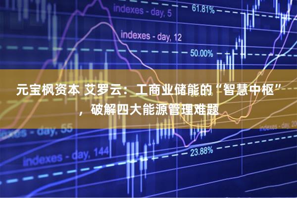 元宝枫资本 艾罗云：工商业储能的“智慧中枢”，破解四大能源管理难题