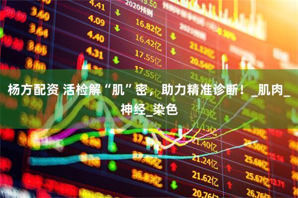 杨方配资 活检解“肌”密，助力精准诊断！_肌肉_神经_染色