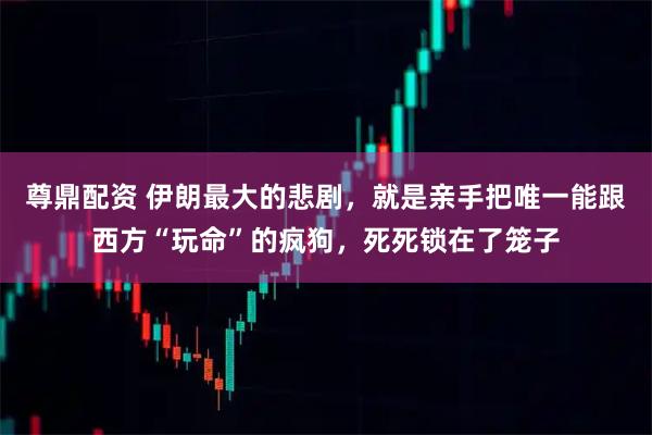 尊鼎配资 伊朗最大的悲剧，就是亲手把唯一能跟西方“玩命”的疯狗，死死锁在了笼子