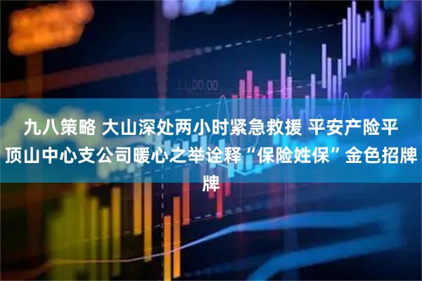 九八策略 大山深处两小时紧急救援 平安产险平顶山中心支公司暖心之举诠释“保险姓保”金色招牌