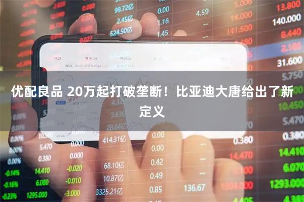 优配良品 20万起打破垄断！比亚迪大唐给出了新定义