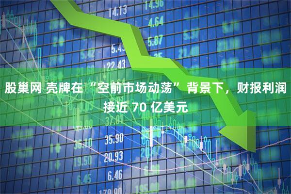 股巢网 壳牌在 “空前市场动荡” 背景下，财报利润接近 70 亿美元