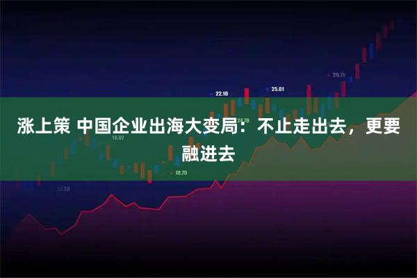涨上策 中国企业出海大变局：不止走出去，更要融进去