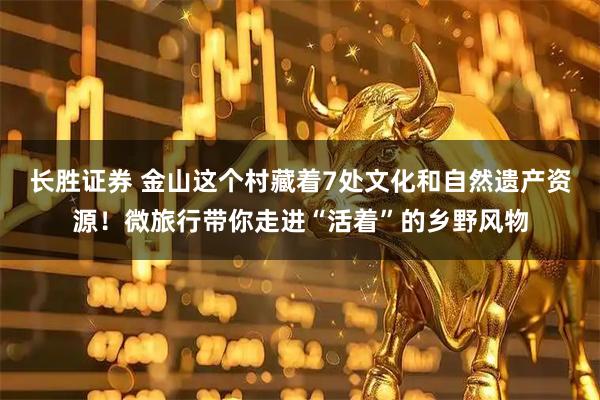 长胜证券 金山这个村藏着7处文化和自然遗产资源！微旅行带你走进“活着”的乡野风物